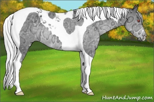 Horse Color:Silver Black Chinchilla Ice Tobiano