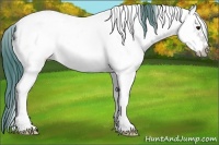 Horse Color:Watercolor White Spotted Bay Ice Roan Frame 