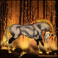 Horse Color:Void Bay Dun Sabino Splash 