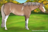 Horse Color:White Spotted Silver Brown Dun