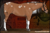 Horse Color:Bay Tobiano 