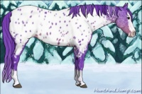 Horse Color:Watercolor White Spotted Brown Ice Splash Near Leopard 