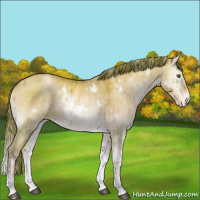 Horse Color:Watercolor White Spotted Brown Pearl Onyx Sabino Appaloosa Brindle 