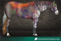Horse Color:Nacre White Spotted Liver Chestnut 
