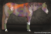 Horse Color:Nacre White Spotted Liver Chestnut 