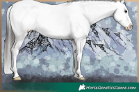 Horse Color:White Spotted Brown Onyx Varnish 