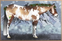 Horse Color:White Spotted Bay Onyx 