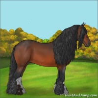 Horse Color:Brown 