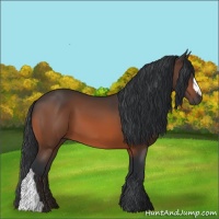 Horse Color:Brown 