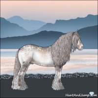 Horse Color:Platinum Chocolate Silver Buckskin Ice Roan Onyx
