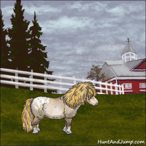 Horse Color:Gray Painted White Spotted Silver Buckskin Ice Roan Pearl Dun Splash Blanket Rabicano 