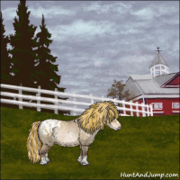 Horse Color:Gray Painted White Spotted Silver Buckskin Ice Roan Pearl Dun Splash Blanket Rabicano 