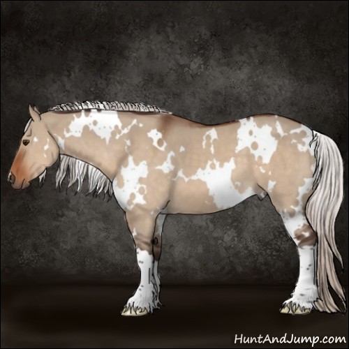 Horse Color:White Spotted Silver Brown Dun 