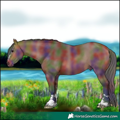 Horse Color:Nacre Bay