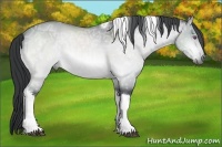Horse Color:Brown Chinchilla Ice Dun Sabino Tobiano