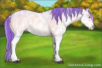 Horse Color:Watercolor Brown Chinchilla Ice Dun Sabino Appaloosa 