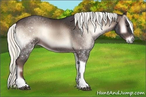 Horse Color:Liver Red Onyx Tobiano 