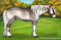 Horse Color:Liver Red Onyx Tobiano 