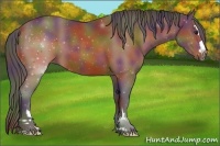 Horse Color:Nacre Buckskin Sabino 