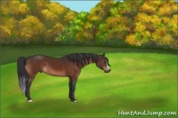 Horse Color:Brown 