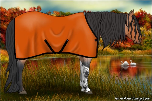 Horse Color:Bay Roan Tobiano