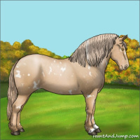 Horse Color:White Spotted Chestnut Pearl 