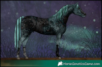 Horse Color:ERROR: UNKNOWN ANOMALY