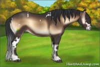 Horse Color:White Spotted Brown Onyx 