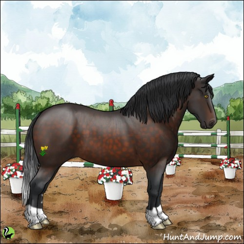 Horse Color:Brown 
