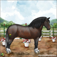 Horse Color:Brown 