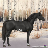Horse Color:Liver Chestnut Frame