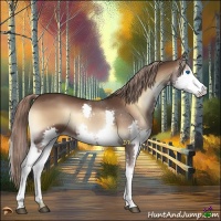 Horse Color:Liver Red Onyx Splash 