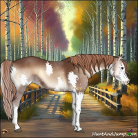 Horse Color:Liver Red Onyx Splash 