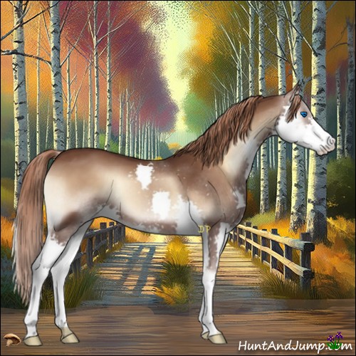 Horse Color:Liver Red Onyx Splash 