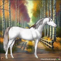 Horse Color:Liver Red Onyx Sabino Splash