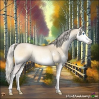 Horse Color:Chocolate Palomino Roan Pearl Onyx Splash 