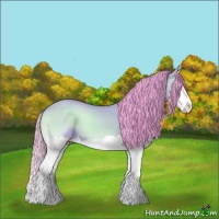 Horse Color:Watercolor Buckskin Onyx Splash