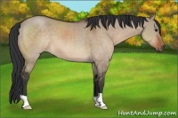 Horse Color:Brown Dun