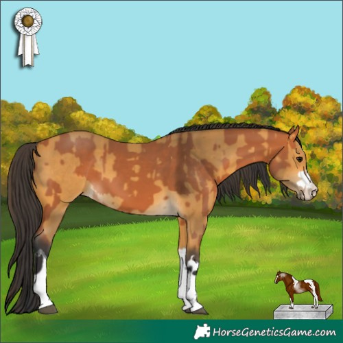 Horse Color:Bay Tobiano and Buckskin
