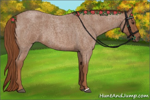 Horse Color:Red Roan 