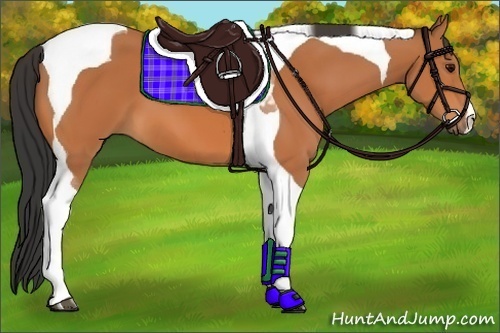 Horse Color:Bay Tobiano