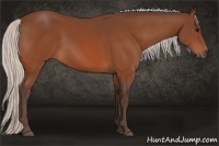 Horse Color:Silver Bay 