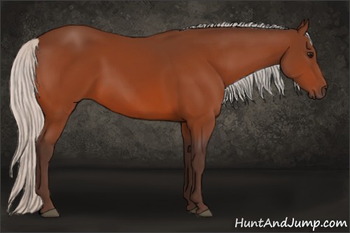 Horse Color:Silver Bay