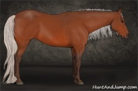 Horse Color:Silver Bay 