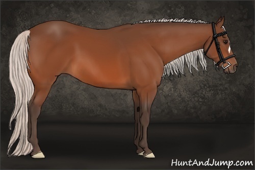 Horse Color:Silver Bay