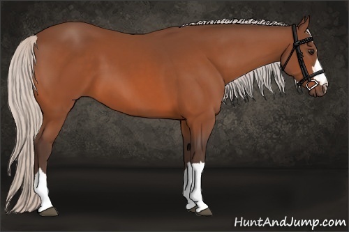 Horse Color:Silver Bay