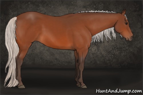Horse Color:Silver Bay 