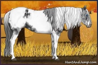 Horse Color:White Spotted Black Splash Tobiano Frame Blanket