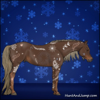Horse Color:Gray Chestnut Mushroom 