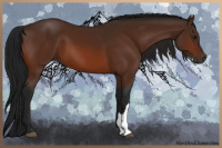 Horse Color:Gray Bay 